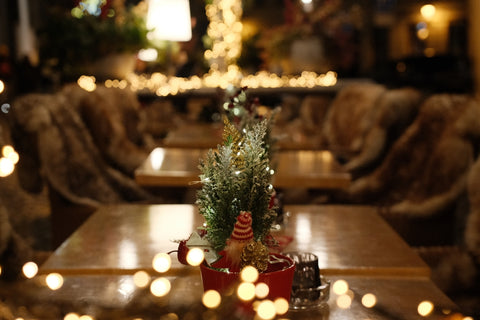 Cozy restaurant with christmas tree and warm lights