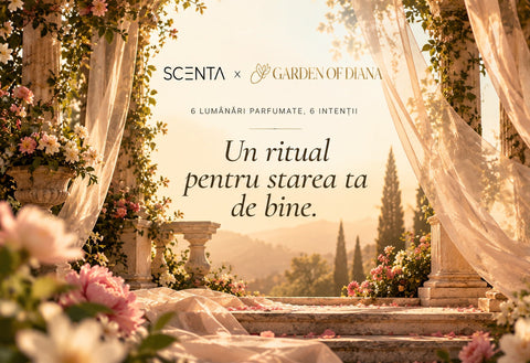 Colecția Scenta x Garden of Diana - 6 lumânări, 6 intenții