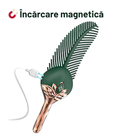 🪶 Fifty Feathers - Fine pleasure, bold intentions 