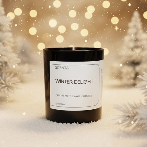 Lumânare parfumată Winter delight Mare - 30cl nice
